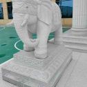 荆门 白麻花岗岩动物异形石雕-大象
