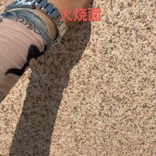 荆门黄金麻火烧面