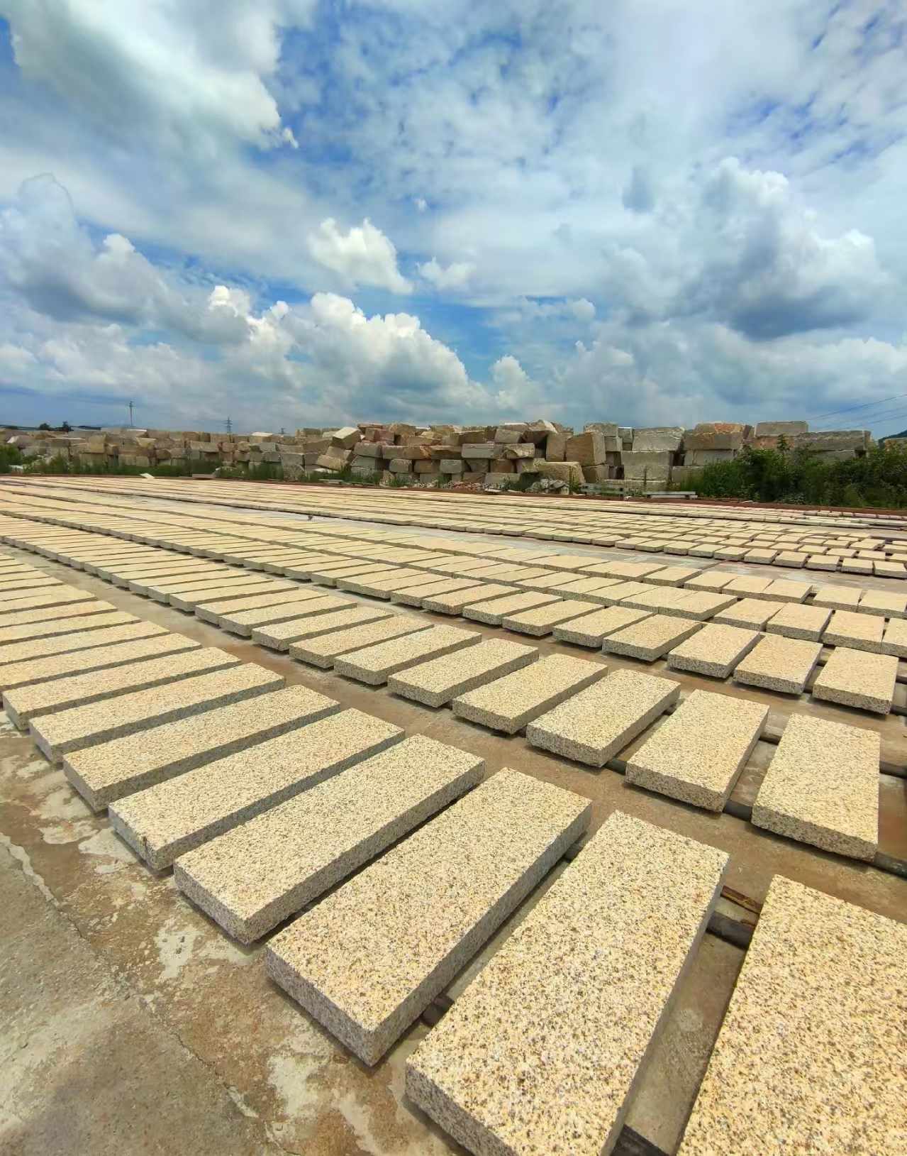 荆门 黄金麻荔枝面花岗岩石材地铺石防护中